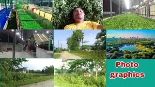 Abutani Tea Company in Dhemaji Silapathar