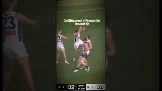 Collingwood v Fremantle Round 19🖤 #afl #aflhighlights