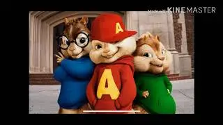 JOKER BRA-AMEX BLACK (Chipmunk Version)