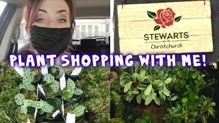 Plant shopping with me at Stewarts Christchurch 🇬🇧 | HOUSE PLANT HAUL