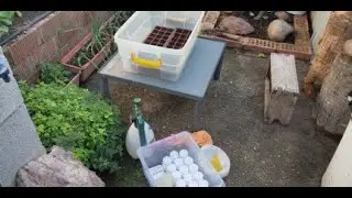 Invernadero para semilleros