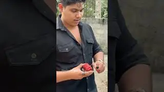 Some Vishu Special Has To Came | #shorts #youtubeshorts #shots