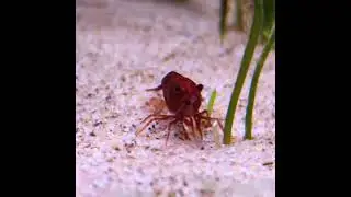 havin a lunch