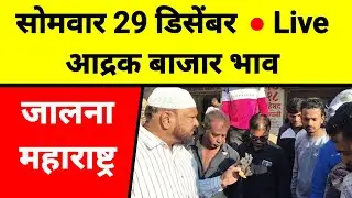 सोमवार आद्रक बाजार भाव थेट लिलाव Live 29 डिसेंबर जालना महाराष्ट्र || Rate Of Ginger || पीक पाणी