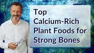 Top Calcium-Rich Plant Foods for Strong Bones