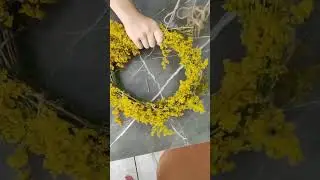 S&acirc;nz&acirc;ienele!!!