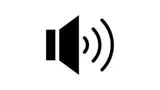 Pistol Gunshots Collection 01 - Sound Effects for Editing(HD)