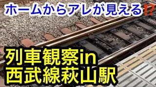 【列車観察】ホームからアレが見える!? ～西武線萩山駅～