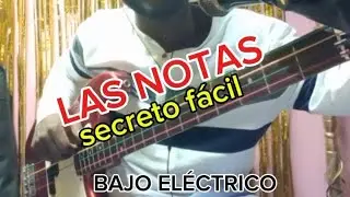 &iquest; C&oacute;mo UBICAR TODAS LAS NOTAS en el BAJO El&eacute;ctrico ? | M&eacute;todo F&aacute;cil para principiantes 