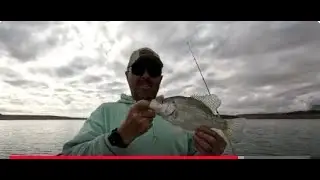 Лодка Mako Pro Skiff, Эхо-Бэй, озеро Мид. Отличный день для ловли окуня! #getoutandfishusa