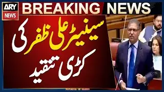 Senator Ali Zafar Criticizes Government for Hasty Bill Approval with Allies