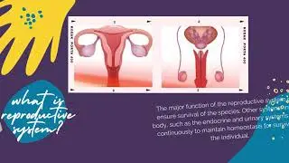 Maintaining Healthy Reproductive System (Group 2)
