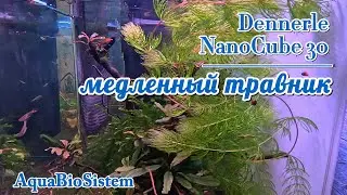 Аквариум Dennerle NanoCube 30 медленный травник #aquabiosistem