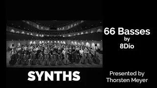 Legion Series 66 Basses by 8DIO Synths