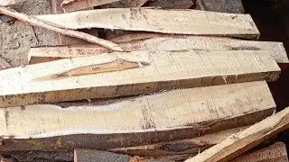 Warning: These Wood Cuts Are Addictive to Watch! | WoodWorkshop2