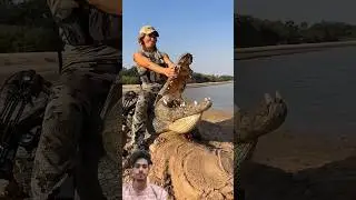 #facts #crocodile #wildlife #animals #alligator #fishing #fish #shortvideo #mixtape #marinemystery