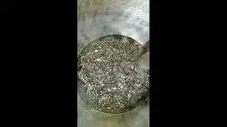 How to make castor oil at home.Home made castor oil.
