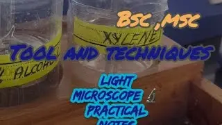 Light Microscope practical 📝!! BSc,  MSc #biology#notes##learning