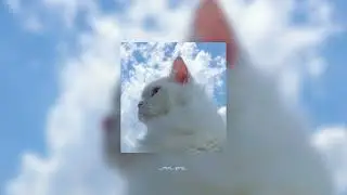 Meri Banogi Kya - Sped up
