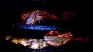 Mikeska's Bar-B-Q Taylor Texas    www.Mikeska.com