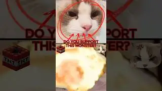 😾💔 Mr. Boom must be stopped!