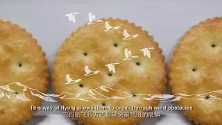 Julie's Biscuits | Julie's Corporate Video | Subtitles: Eng / CN