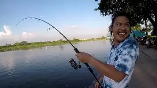 Mekhong catfish and Striped catfish Fishing