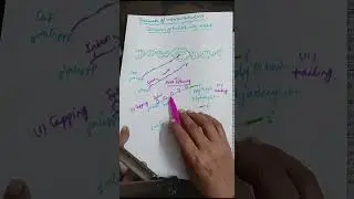 NEET2025 HETEROGENEOUS NUCLEAR RNA mRNA,class12 splicing capping