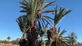 My trip , some days from here 