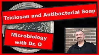 Triclosan Antibacterial Soap:  Microbiology