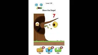 save the dog ad music