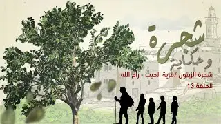برنامج شجرة وحكاية/ الحلقة 13/ قرية الجيب- القدس