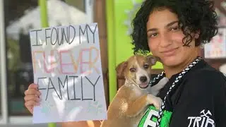 Brave Mama Dog Guides Rescuers to Her Puppies Hidden in the Jungle