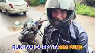 Guppy fish unboxing video ||Rukhvai guppy farm pune @RUKHVAIGUPPYFARMPUNE