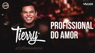 Playback - Tierry - Profissional do Amor