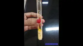 Test for bromide ion| Inorganic chemistry| Salt Analysis| #experiment #BSc #chemistry #SGKmistry