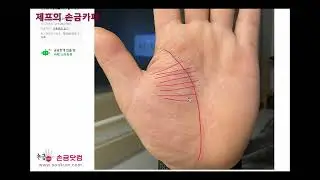 [제프의 손금카페] 내 손금 좀 봐주세요~(2022년 5월 둘째주): 노총각, 음식점, 단명수 주의할분