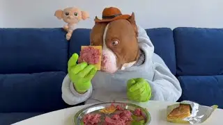 Steak Tartare ASMR