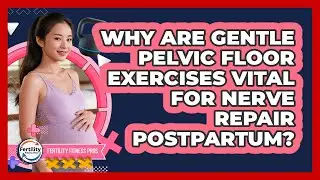 Why Are Gentle Pelvic Floor Exercises Vital For Nerve Repair Postpartum? - Fertility Fitness Pro
