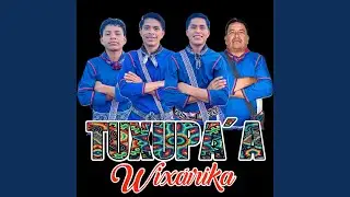 Mueve El Toto (Cover)