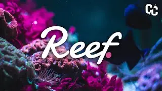#REEF / $REEF Today - Crypto Price Prediction & Analysis Update
