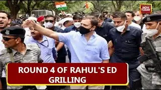 Rahul Gandhi To Appear Before ED For 4th Round Of Questioning, Cong Plans Protest At Jantar Mantar