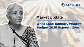 Indian Steel Industry's Budget 2025 Wishlist | BigMint Updates