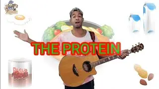 The Protein Song - Музыка о питании для детей