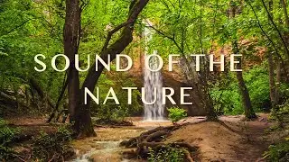 Classical music for relaxation | Deep focus music to improve concentration | calming music for sleep