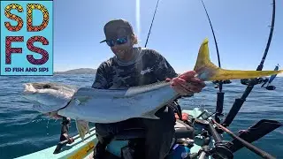 La Jolla Yellowtail Fishing Solo Skiff Slow Troll Sardine Clean & Cook Sushi & CollarsSummer SDFS
