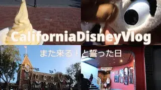 [ DAY4 ] 初めてのひとりカリフォルニア・ディズニーvlog（ランプライト・ラウンジ、Doleのソフトクリーム他）