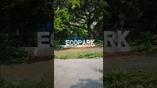 Here&rsquo;s what it&rsquo;s like arriving and getting inside La Mesa Eco Park! 🌳 #travel #lamesa #nature #tree