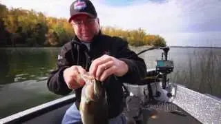 Lipless Crankbaits versatility