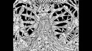 NECROVOROUS  -  Moribund